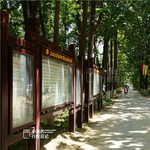 西安怎么查停车费有没有交？