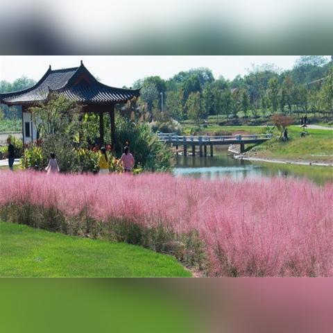 凤凰沟什么时候好玩