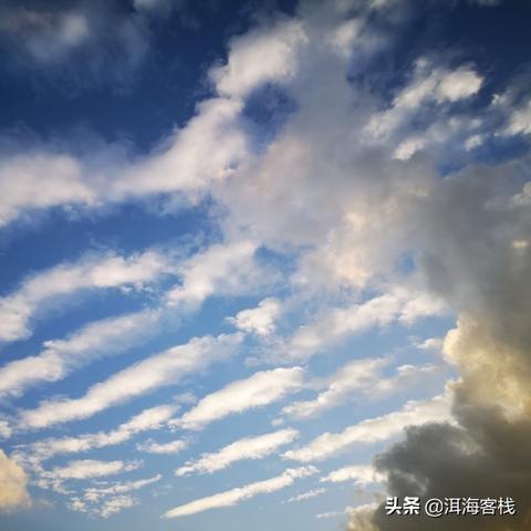 波浪云是什么天气