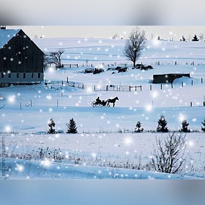 2025.11.11临沂今日气温变化情况