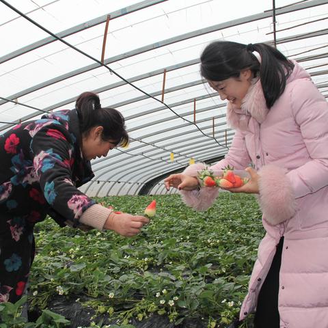 临沂市工业门类招聘的长尾关键词有什么