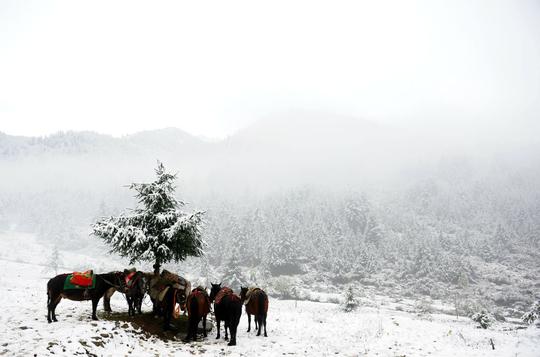 真正的川西冷门景点，风光令人拍案叫绝