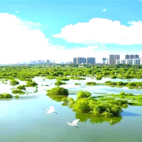 济南市外迁人口多少万