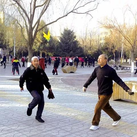 福建长泰牛肉馅的相关长尾关键词有哪些