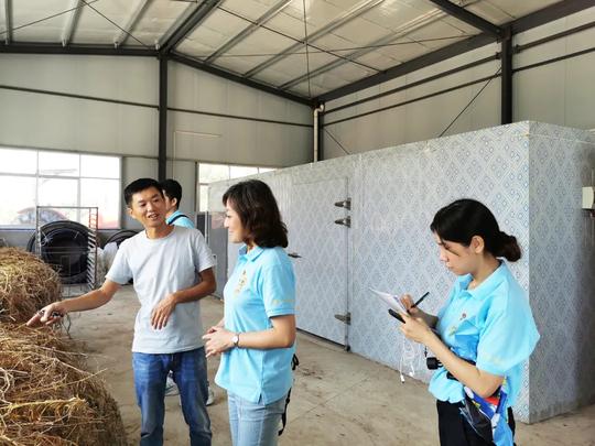 马曹庙九家咀返乡能人吴涛：回乡创业惠乡邻抱团取暖拔穷根