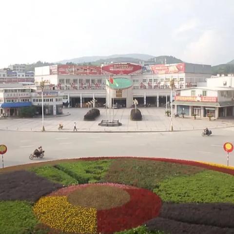 福建品质木耳怎么样吃