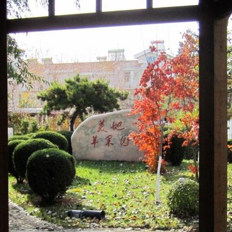 沈阳市三十八怎么样