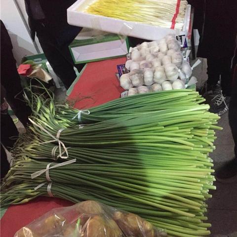 济南市蒜苔批发价格多少