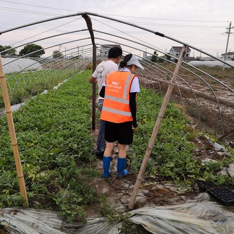7月2日余姚天气的长尾关键词有哪些