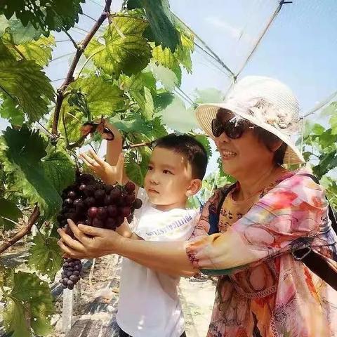 南宁百果园生态园的相关长尾关键词有哪些