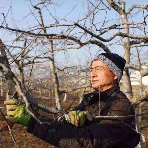 女孩如何从八字看寿命长短？这些细节藏着答案