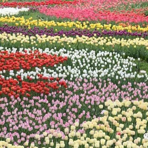 佛山市哪里最好玩亲子游