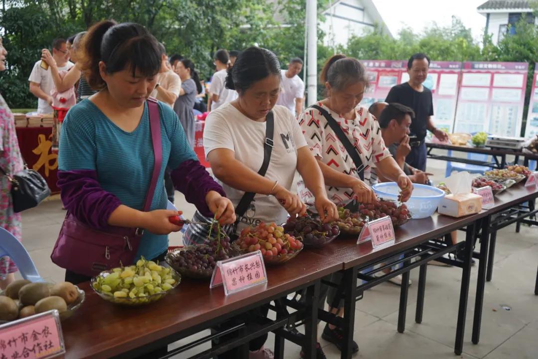 绵竹有什么家乡美食（四川名优特产宣传语）