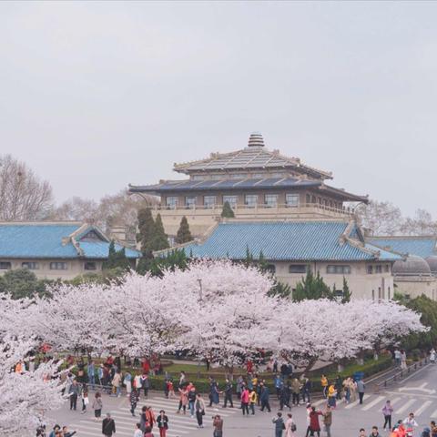 武汉市和女孩出去玩什么