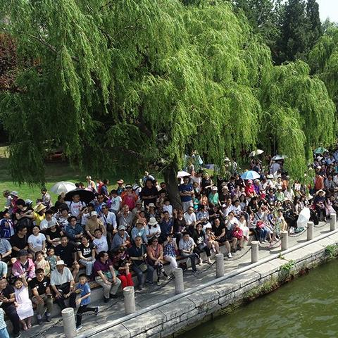 2023济南大明湖龙舟比赛时间？