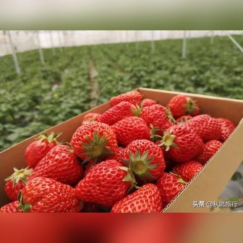 苏州常熟市医院房贴怎么发