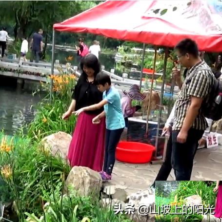沈阳到本溪湖里相关长尾关键词有哪些
