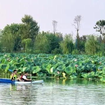 武汉好玩的景点排名榜？