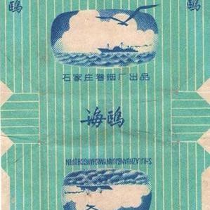 石家庄市有海鸥的公园叫什么