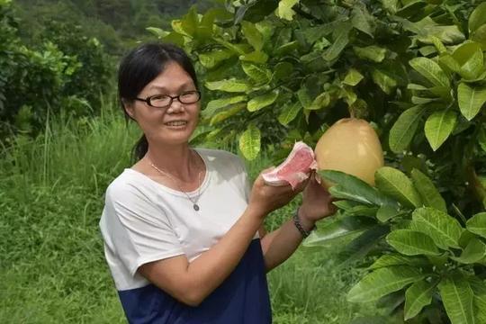 怀集县妇联扶持巾帼创业项目带动贫困妇女增收致富