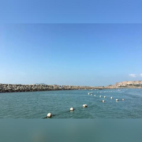 厦门市鲈鱼港地址电话多少