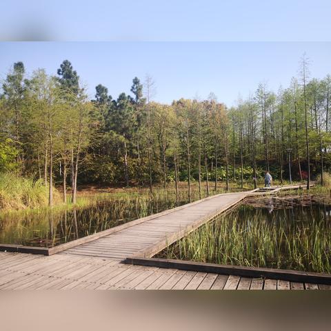 无锡市中央公园在哪里