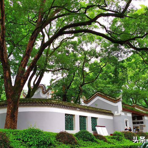 长沙市岳麓区有哪些学校？