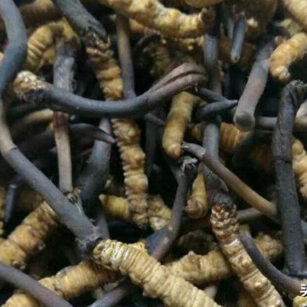 西宁货车找货源网的长尾关键词有哪些