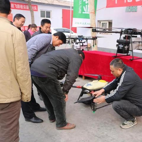 石家庄市哪里区最火