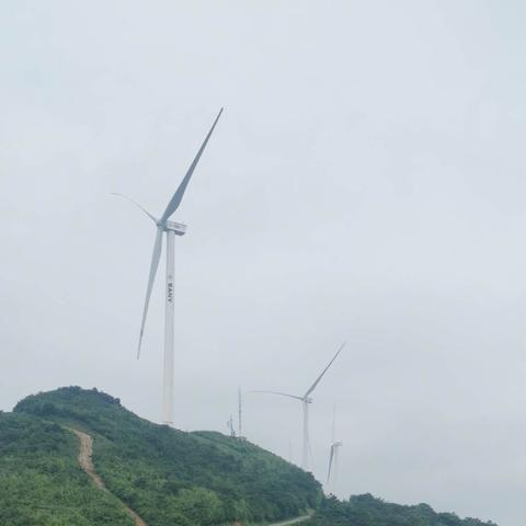 长沙市宁乡县什么最出名