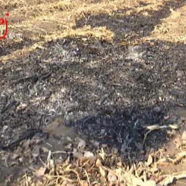 哈尔滨市有多少区县市