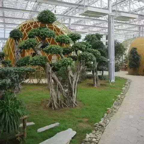 保定市家用玻璃店在哪里