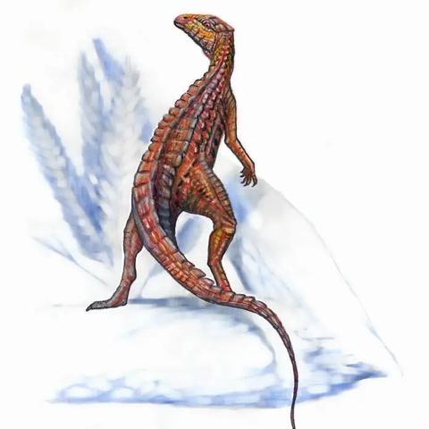 广州补档案相关长尾关键词有哪些