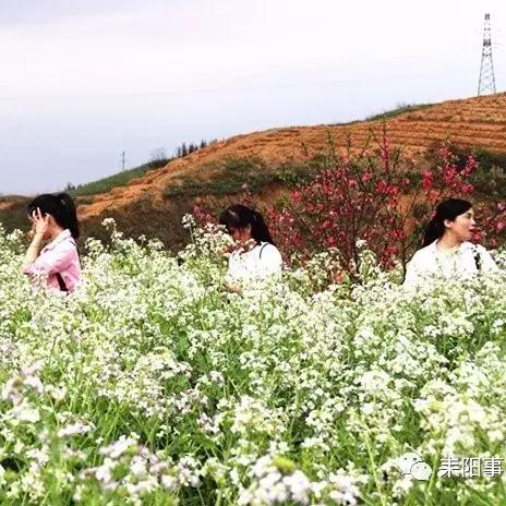 湖南耒阳 天气的长尾关键词有哪些