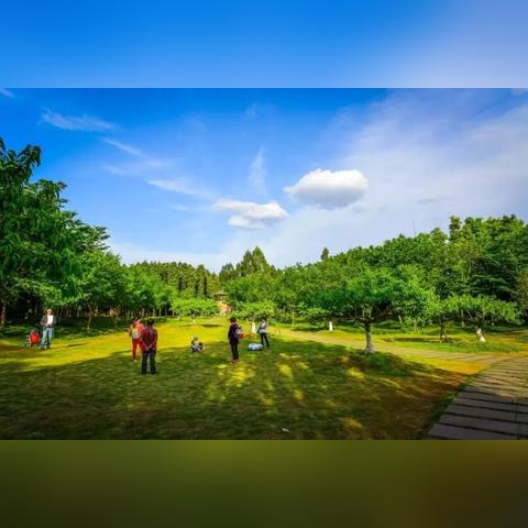 天津阳光出行怎么样