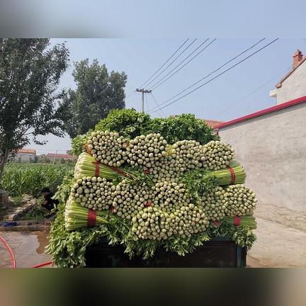 有一手货源怎么找销路