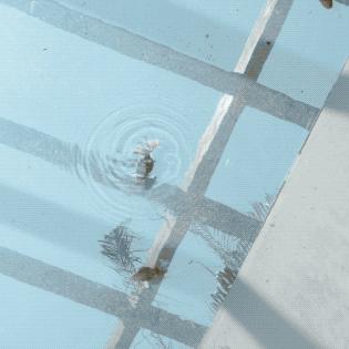 重庆10月份天气怎么样