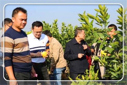 现在许多人都说农村创业难，到底难在哪里呢？分析一下