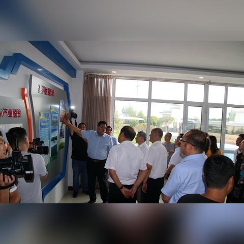 保定市都有哪些特色产业