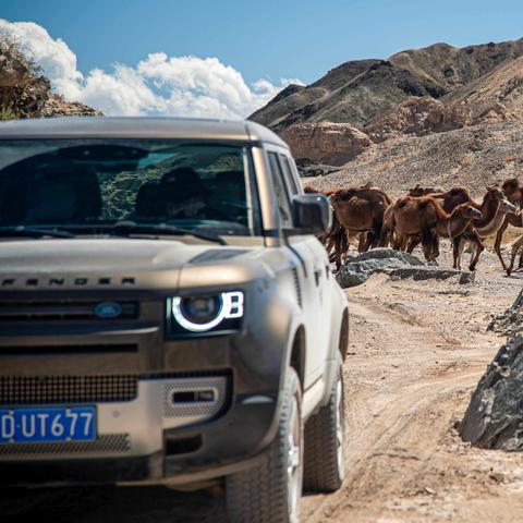 亚马逊店铺用跨境卫士的相关长尾关键词有哪些