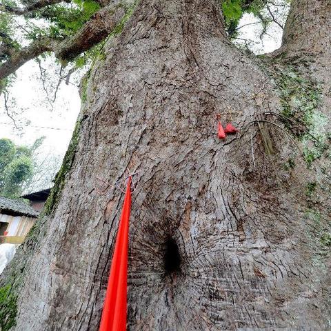 福建佛像彩绘的相关长尾关键词有哪些