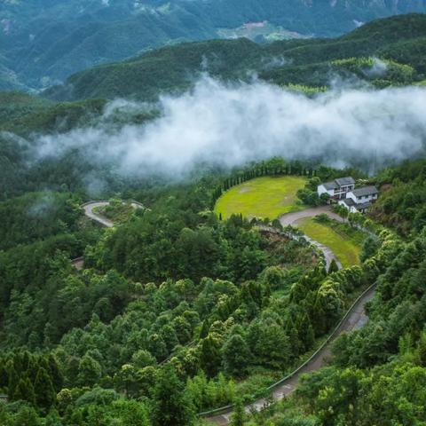 上海的公路都哪些