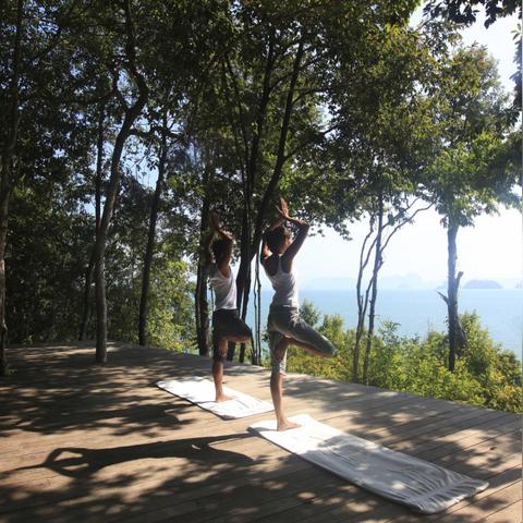 自行车扫码软件哪个好的长尾关键词有什么