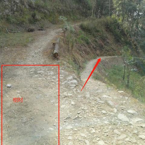 桂林去龙脊梯田坐车攻略？