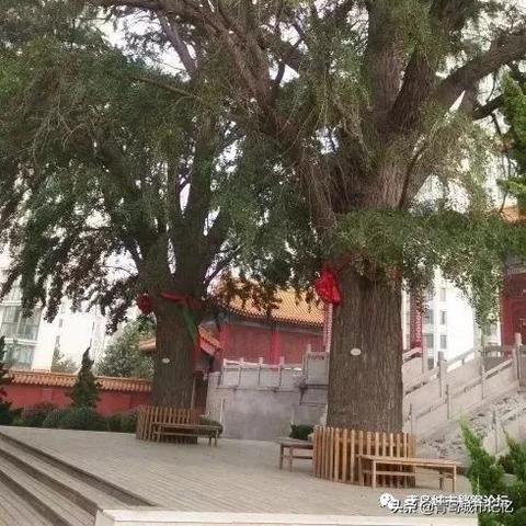 福建省道场的相关长尾关键词有哪些