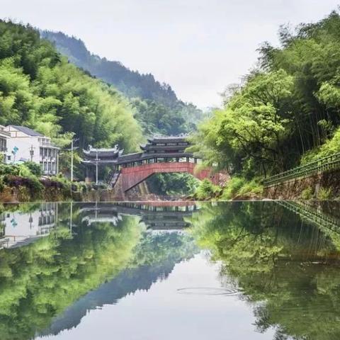 杭州市苍南什么方位