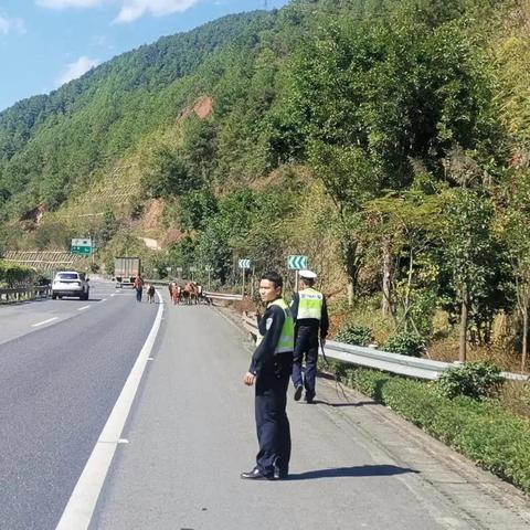西安市回山县有什么要求