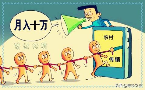 传销组织转移农村，你们村是否有人陷入传销骗局？