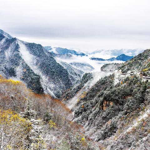重庆水晶怎么样