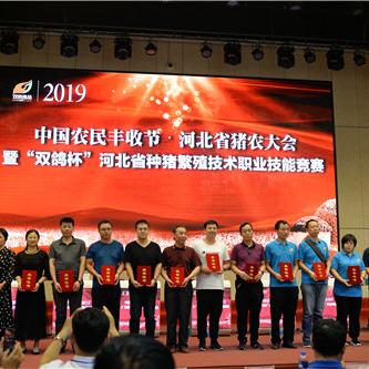 石家庄市哪里有卖种猪